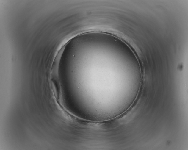 X0000094321529200711091330