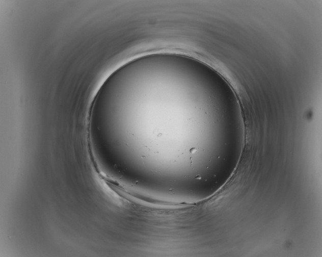 X0000094321532200711091330