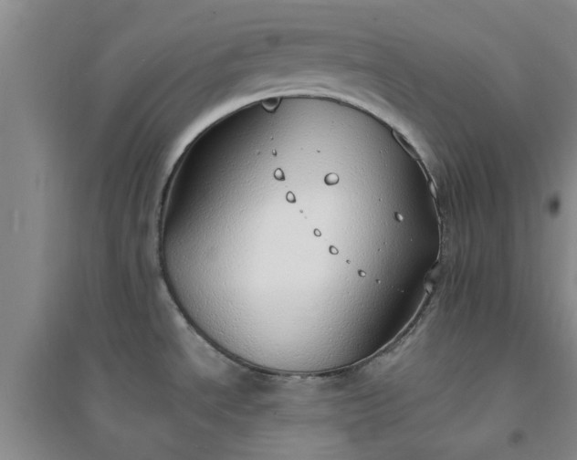 X0000094321534200711091330