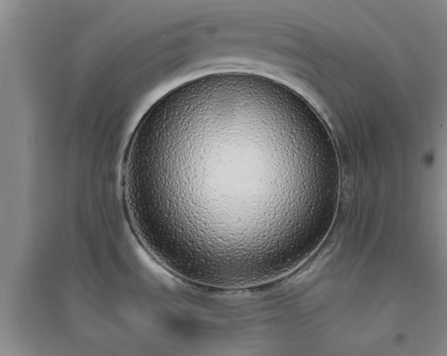 X0000094321535200711091330