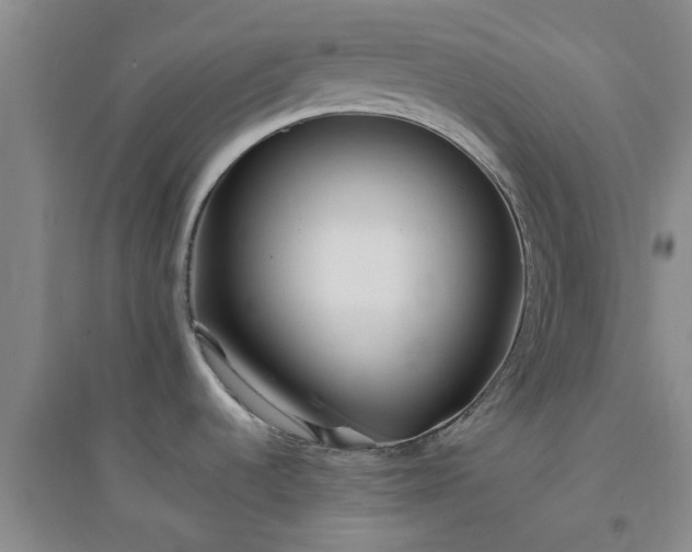 X0000094321536200711091330