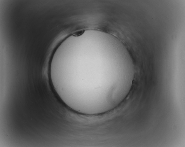 X0000094320006200711161939