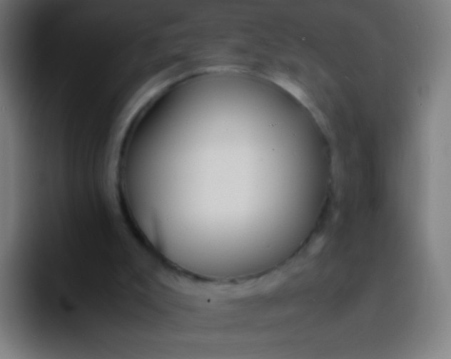 X0000094320007200711161939