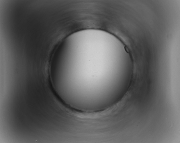 X0000094320009200711161939