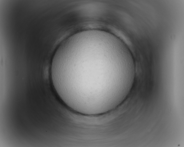 X0000094320010200711161939
