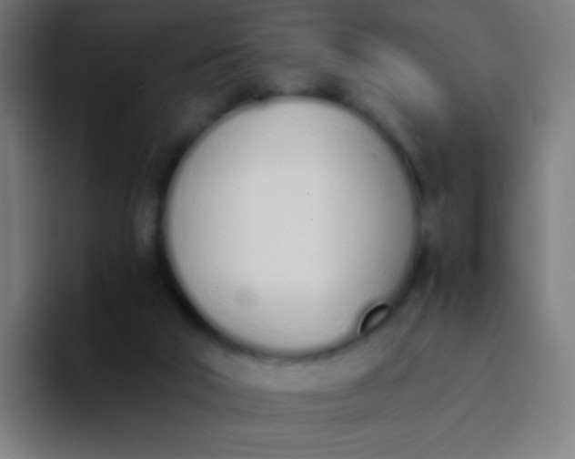 X0000094320018200711161939
