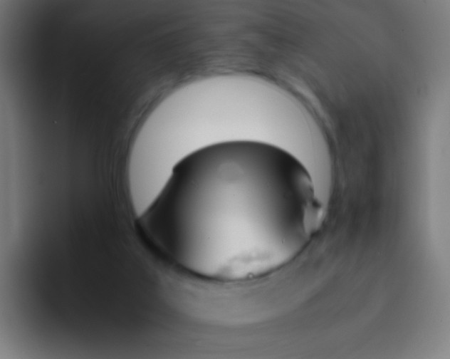 X0000094320019200711161939