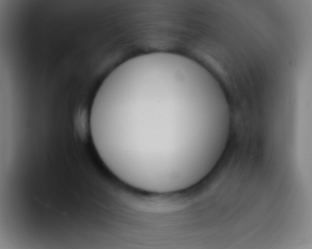X0000094320020200711161939