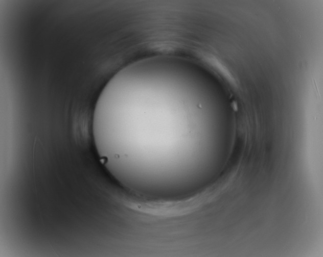 X0000094320023200711161939