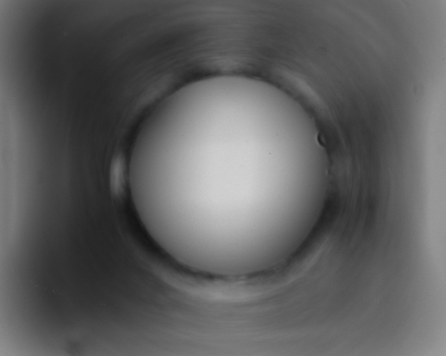 X0000094320024200711161939