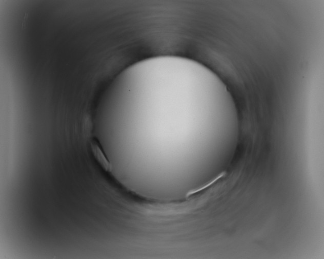 X0000094320025200711161939