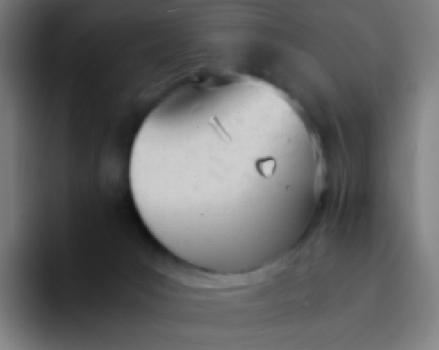 X0000094320031200711161939