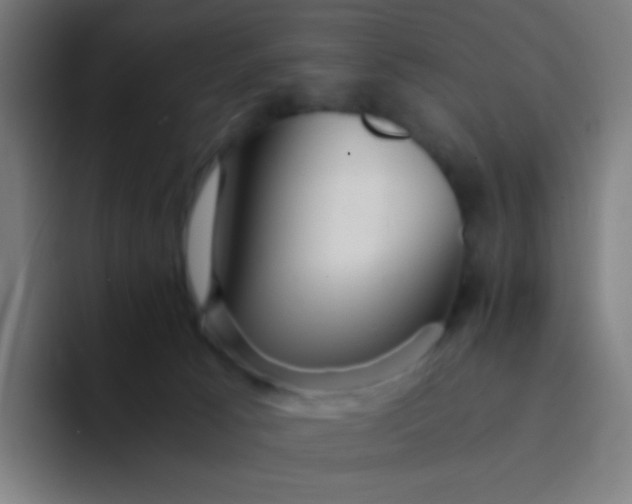 X0000094320033200711161938