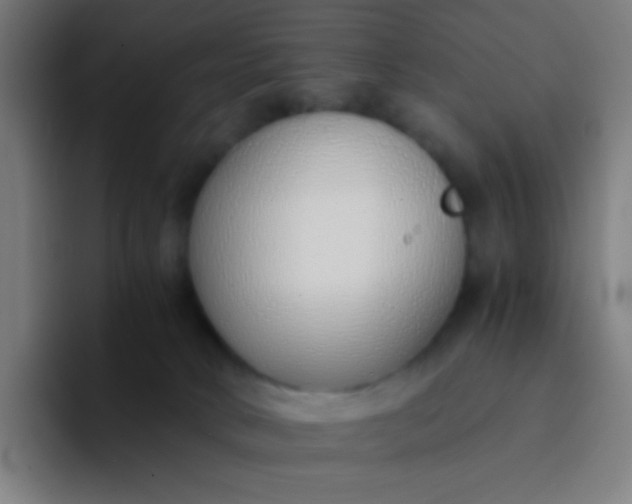 X0000094320034200711161938
