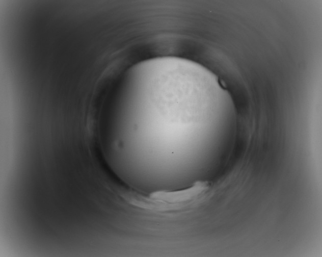 X0000094320035200711161938