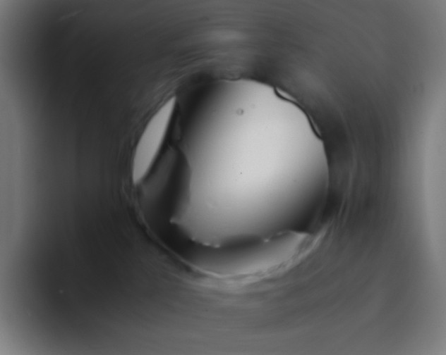 X0000094320041200711161938