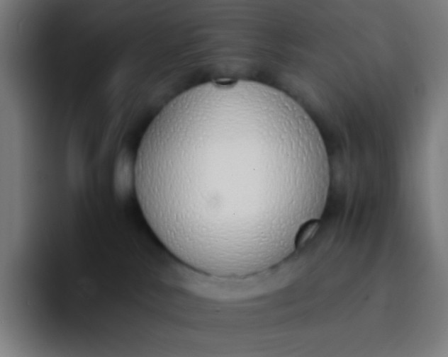 X0000094320042200711161938