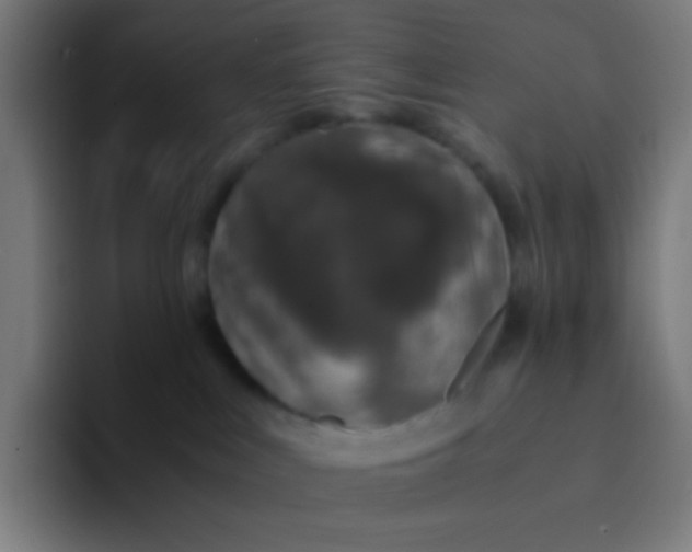X0000094320043200711161938