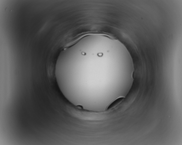 X0000094320044200711161938