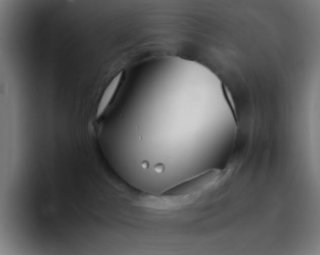 X0000094320045200711161938