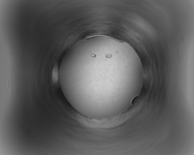 X0000094320046200711161938