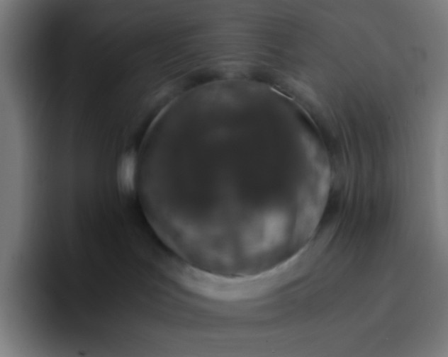 X0000094320047200711161938