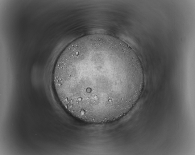 X0000094320049200711161938