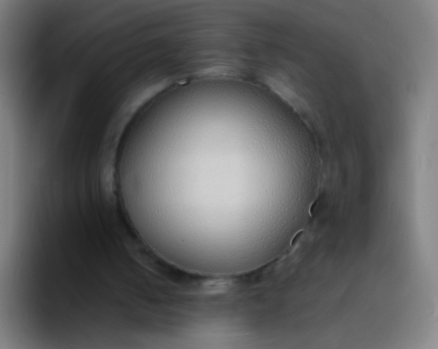 X0000094320050200711161938