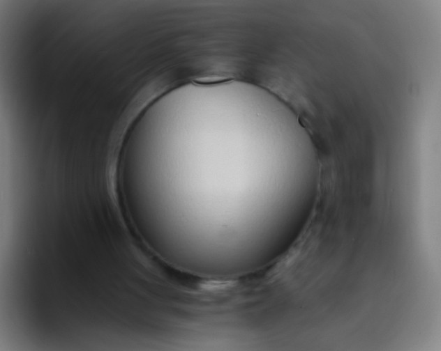 X0000094320051200711161938