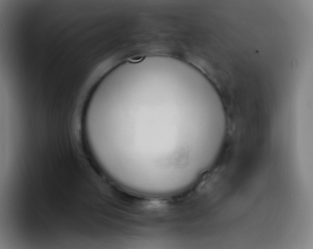 X0000094320053200711161938