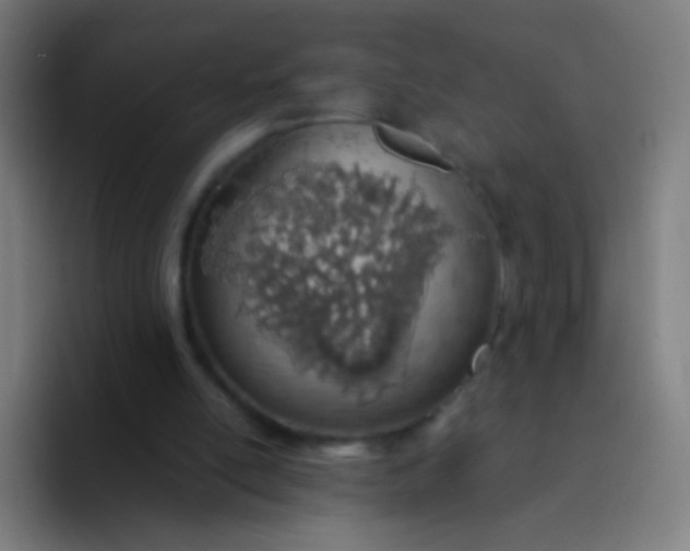 X0000094320054200711161938