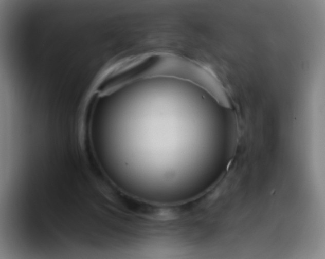 X0000094320056200711161938