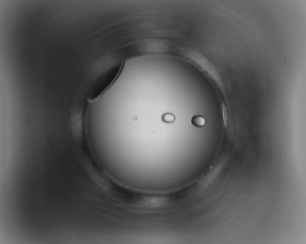 X0000094320057200711161938