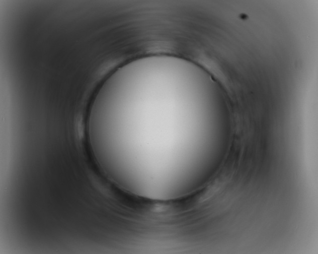 X0000094320060200711161938