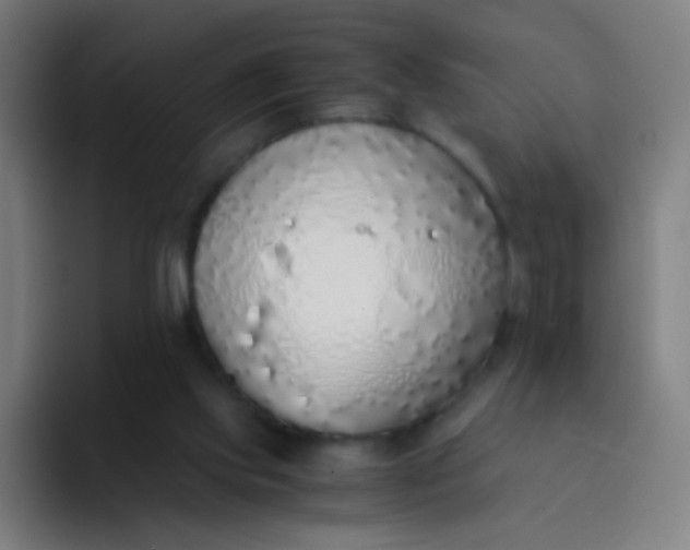 X0000094320061200711161938
