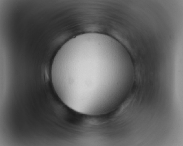 X0000094320062200711161938