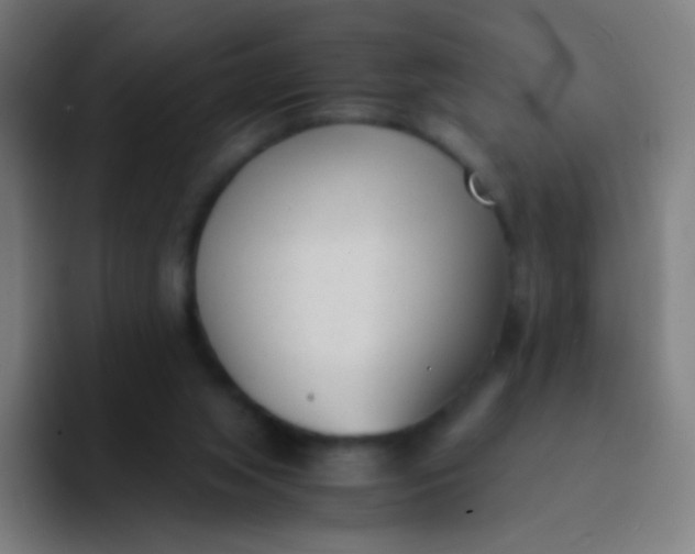 X0000094320063200711161938