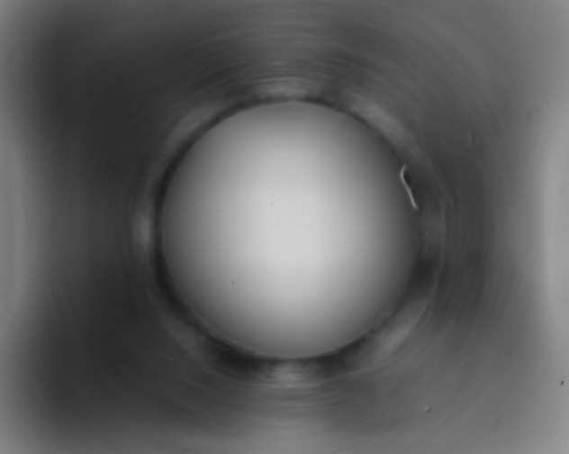 X0000094320064200711161938