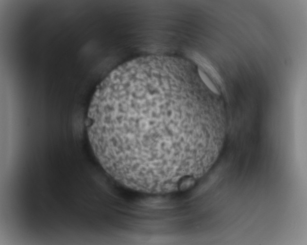 X0000094320065200711161938