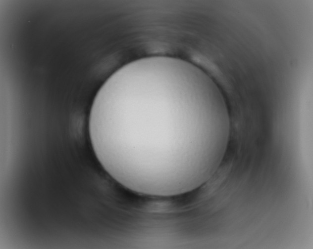X0000094320066200711161938