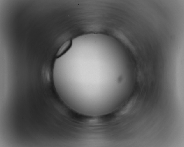 X0000094320068200711161938
