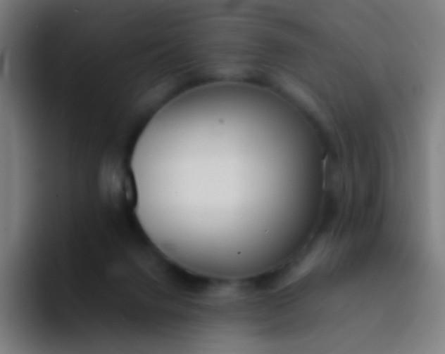 X0000094320072200711161938