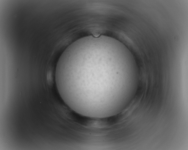 X0000094320074200711161938