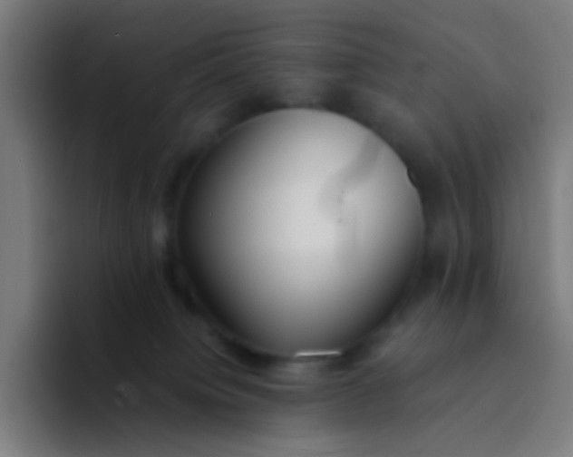 X0000094320084200711161938