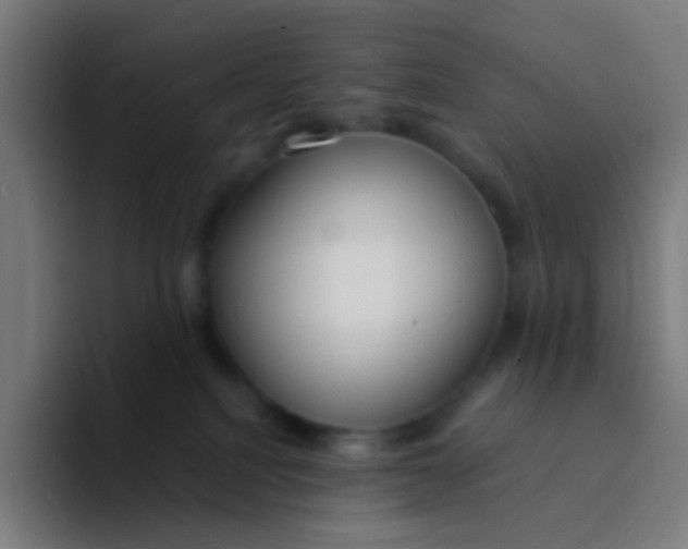 X0000094320088200711161938
