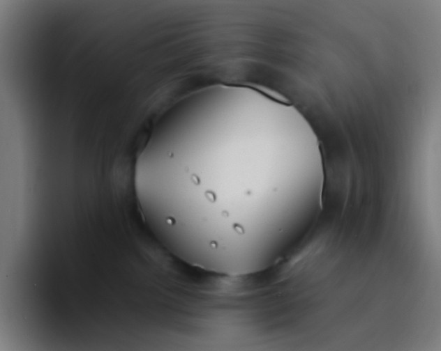 X0000094320092200711161938
