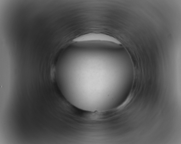 X0000094320094200711161938