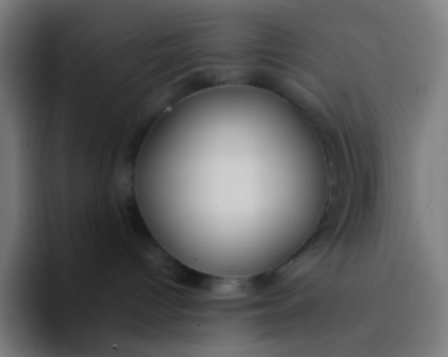 X0000094320096200711161938