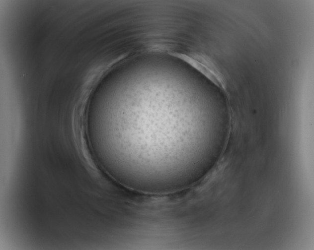 X0000094320097200711161938