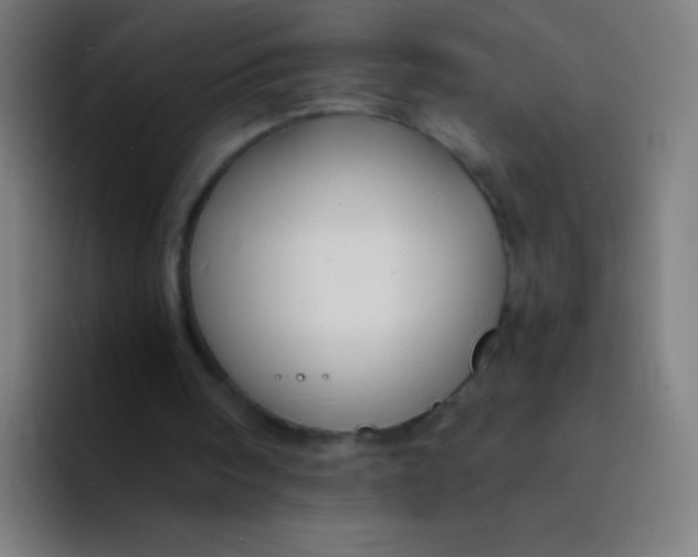 X0000094320098200711161938